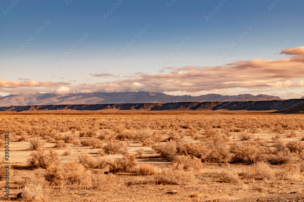 USA, NV, the 23 of November 2020, Nevada desert landscape. 