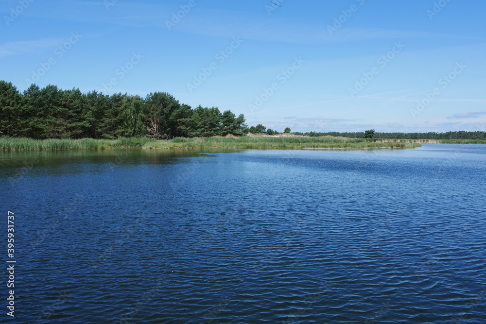 Naturschutzgebiet Darßer Ort: Naturreservat, See, Gewässer, Brackwasser und Urwald an der Ostsee in Mecklenburg-Vorpommern