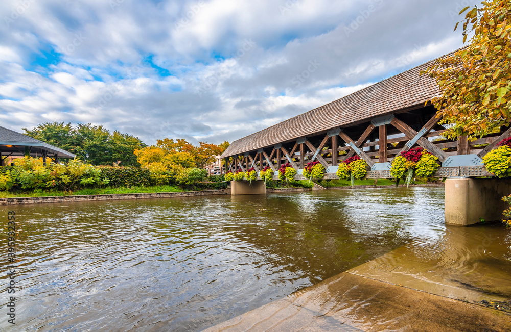 Naperville Town view in Illinois State