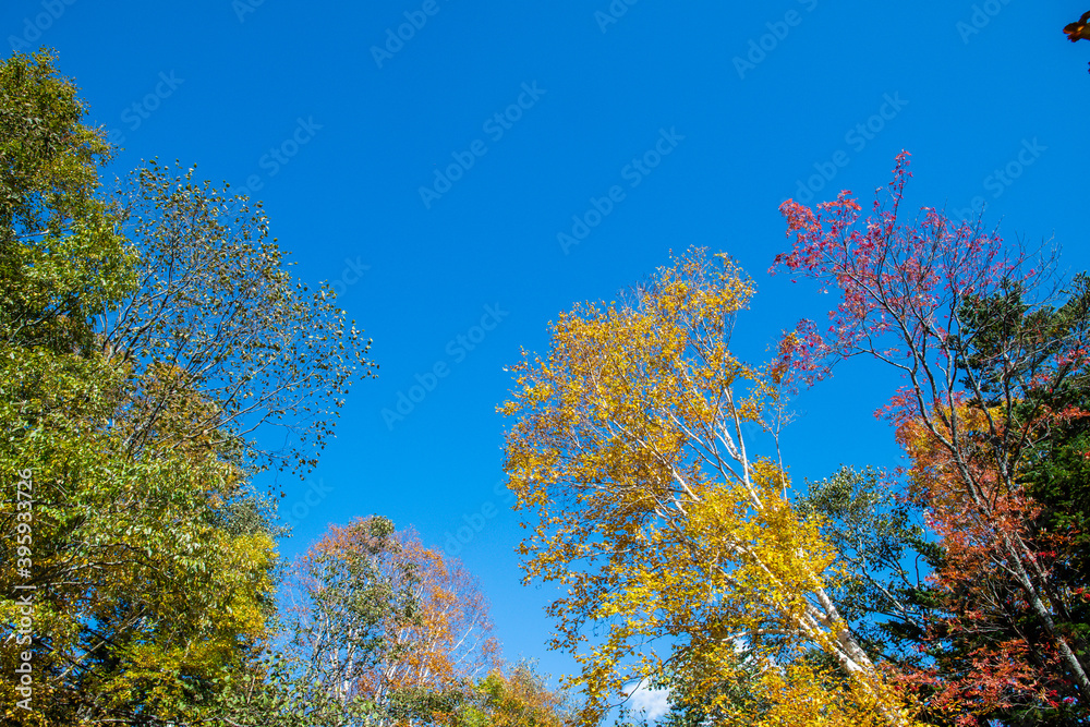 秋のオンネトー湖畔の紅葉(北海道・足寄町) 秋のオンネトー湖畔の紅葉(北海道・足寄町)