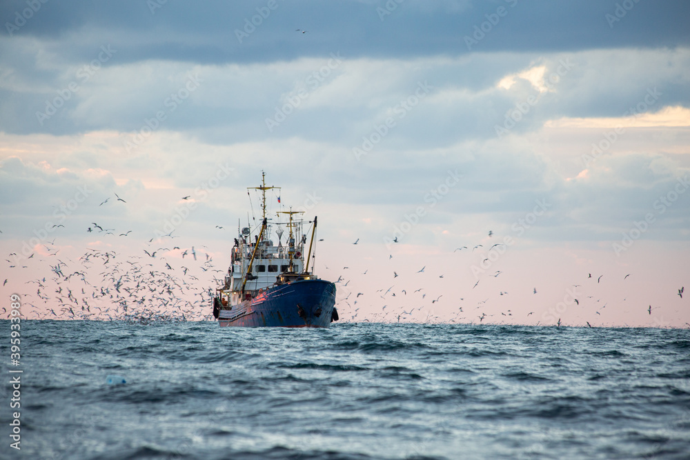 Return of the fishing seiner after the catch Return of the fishing seiner after the catch