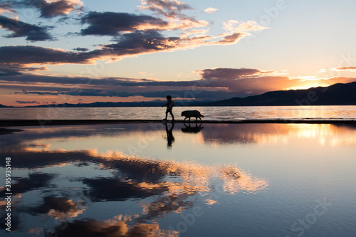 Silhouette of a person and his dog walking in the sunset. Sunset in Ebro Delta. Last light in Mediterranean Sea. Clouds and sun reflected in the water