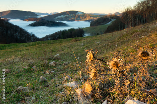 Schöner Sonnenaufgang