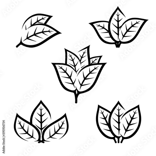 Tobacco leaf icons set. Collection icon tobacco. Vector