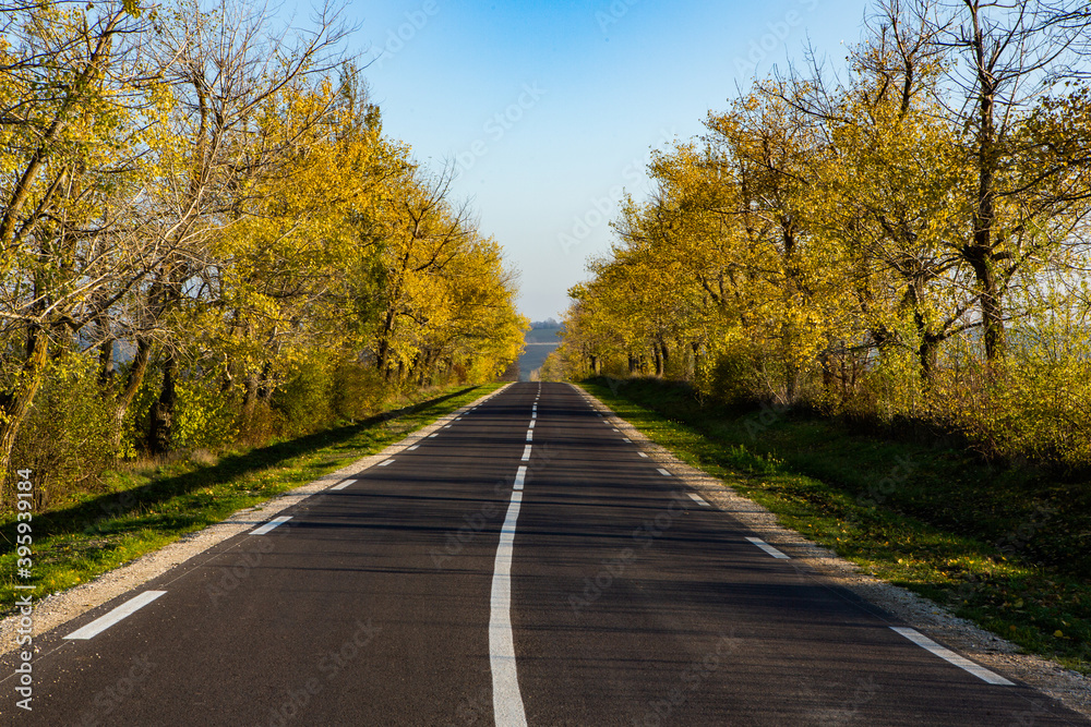 Beautiful road in the beautiful trees. A country road in the fall. Autumn in the park. Empty race track.