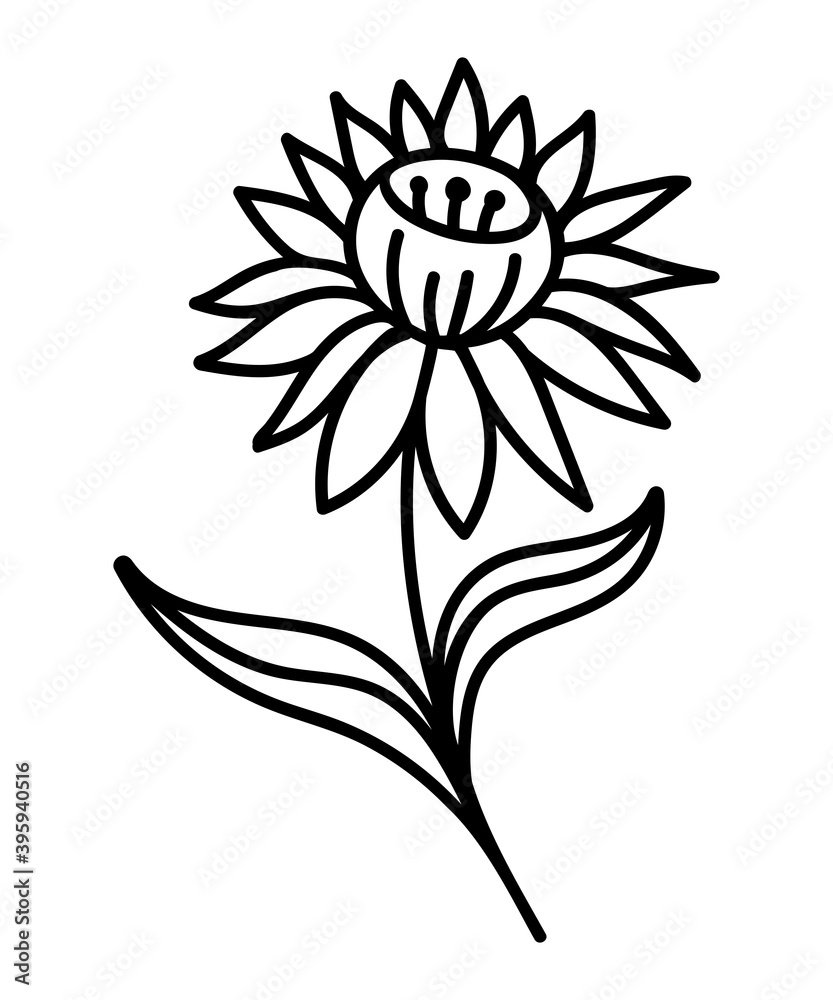 FLOWER SILHOUETTE ON A WHITE BACKGROUND