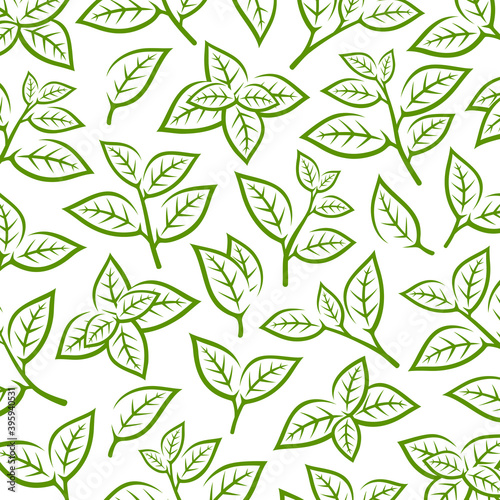 Green tea leaf pattern background. Collection green tea leaf icons. Vector