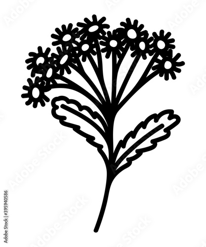 FLOWER SILHOUETTE ON A WHITE BACKGROUND