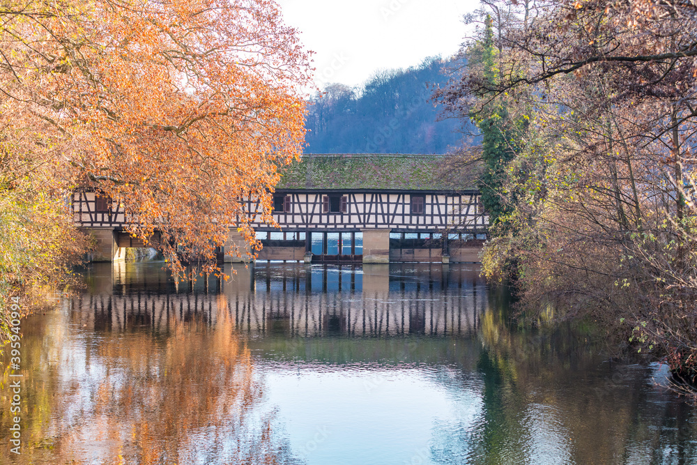 Fototapeta premium Herbst am Fluss