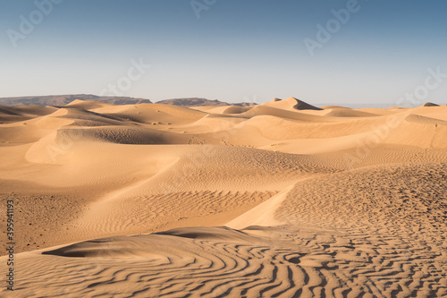 Cordon de dunes du d  sert marocain