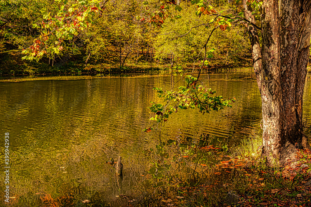 Fototapeta premium autumn landscape with lake