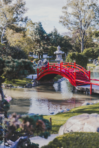 Jardín Japonés photo