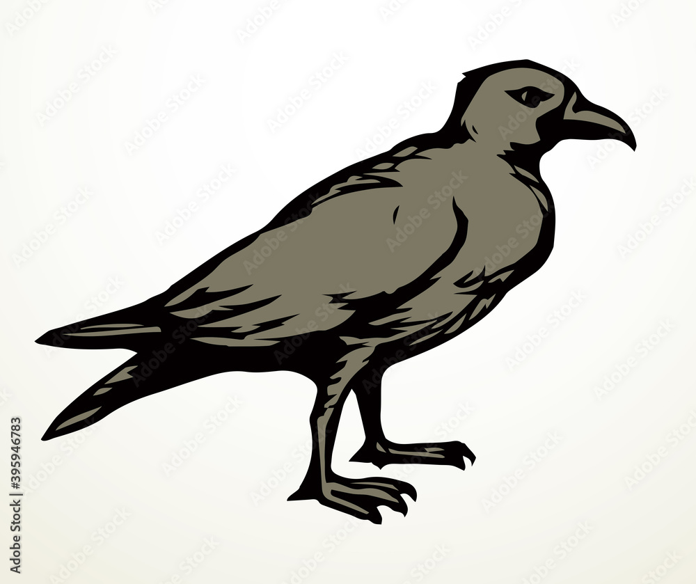 Obraz premium Big bird. Vector drawing icon sign