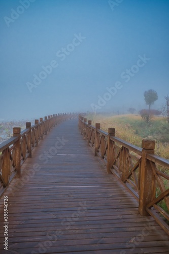 wooden bridge in the morning fog.