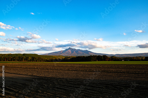 秋の夕方の斜里岳とジャガイモ畑（北海道・斜里町）