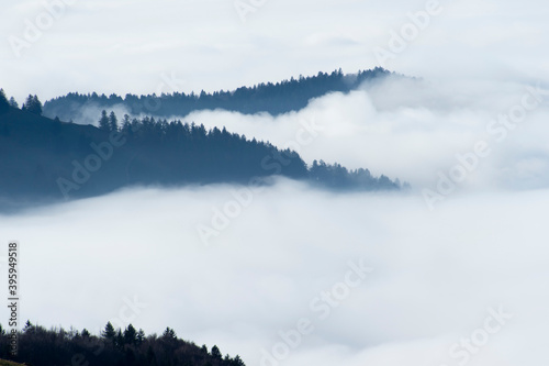 Blick auf den Schwarzwald bei Inversionswetter