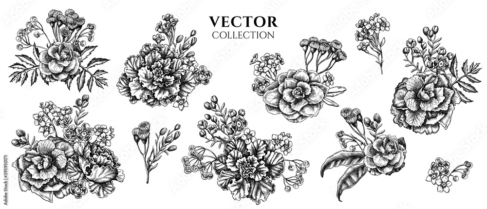 Φωτογραφία Flower bouquet of black and white wax flower, forget me not flower, tansy, ardis