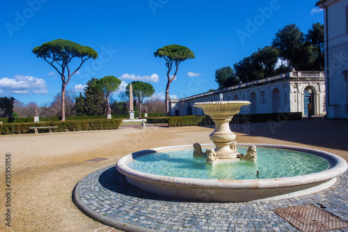 Photography Awe Italian Pines- Pinias in Park of Villa Medici and medieval fountain