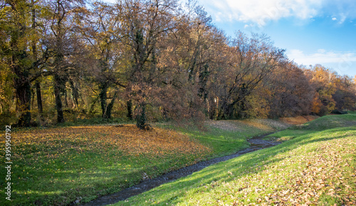 Small pond beside a forest in autumn with falling leaves