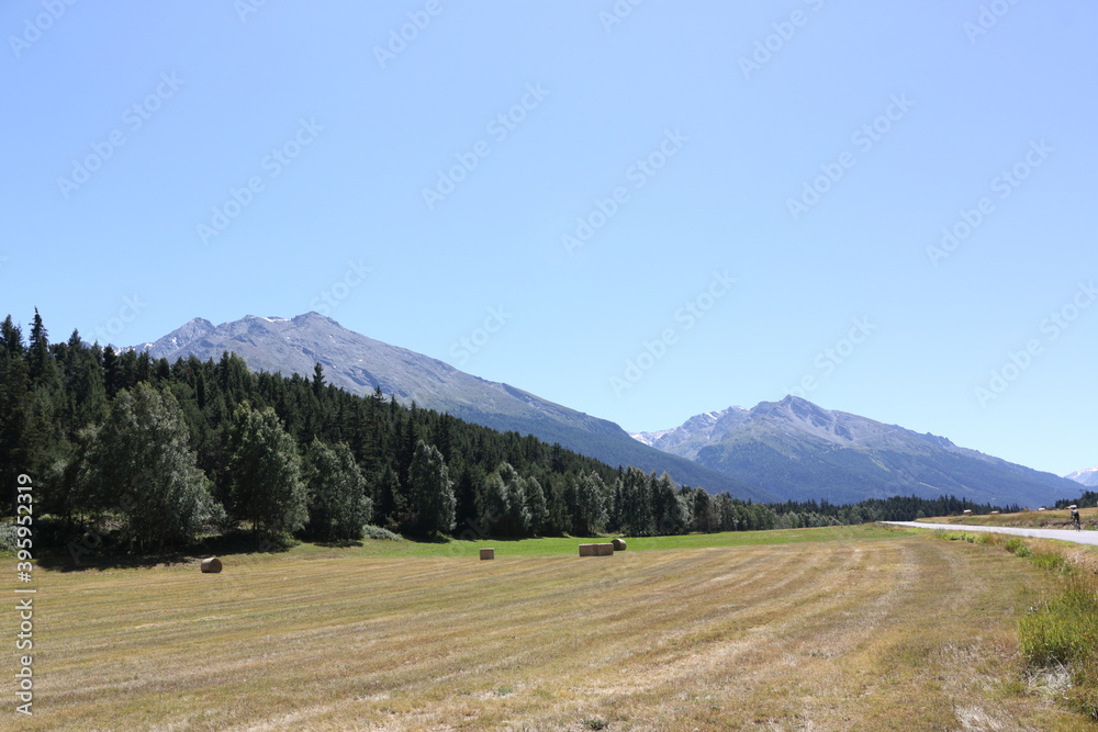 field with hay bales in the mountains