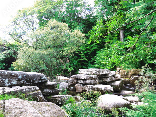 Stepping stones on the river dart on dartmoor photo