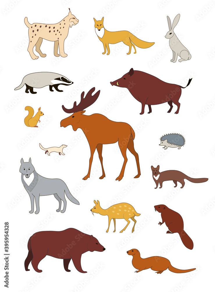 Forest animals of the Northern hemisphere. Vector image color collection.