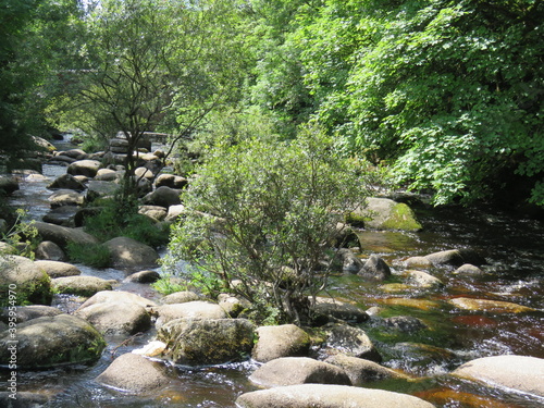 Stepping stones on the river dart on dartmoor photo
