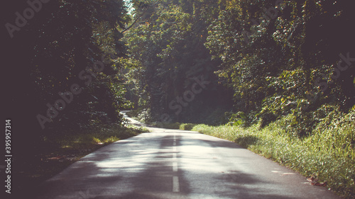 Beautiful road in the Caribbean jungle (Martinique) photo