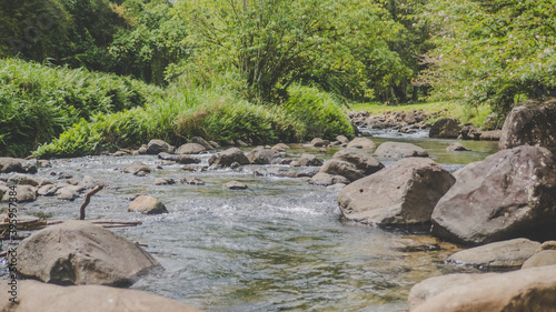 Beautiful river in the Caribbean jungle photo