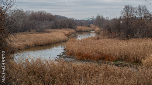 Autumn landscape that shows a river in reeds in cloudy weather.