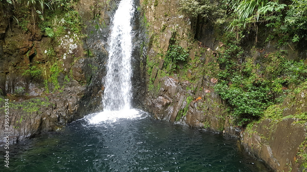 Fototapeta premium waterfall in the forest