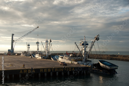 cranes in the harbor