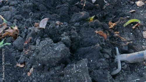 Wallpaper Mural The man is digging the ground. Close-up. Place for text. Torontodigital.ca