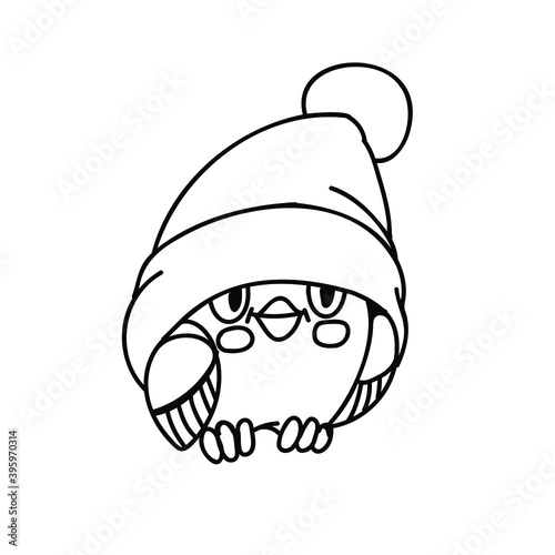 funny bird in hat on the white background
