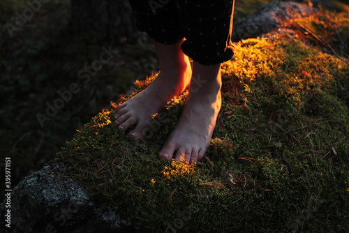 Eco-friendly lifestyle, being in touch with nature. Barefoot female feet on moss. Sunset in the forest