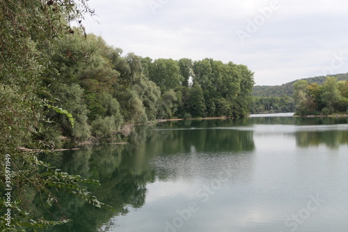 reflection of trees in the water