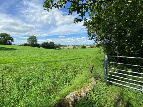 Landscape, with lush meadows, buildings and trees, in the far distance in, Bracewell, Barnoldswick UK photo