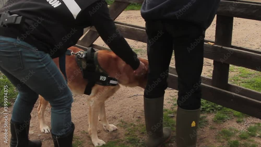 search with k9 anti-drug dog on suspicious man search with k9 anti-drug dog on suspicious man