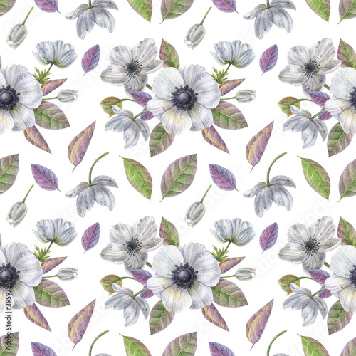 Bilde på lerret Watercolor seamless pattern with illustration of beautiful white anemones flower