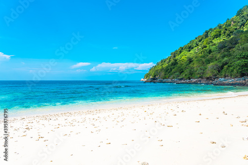 Fototapeta Naklejka Na Ścianę i Meble -  Beautiful tropical beach sea ocean with coconut and other tree around white cloud on blue sky
