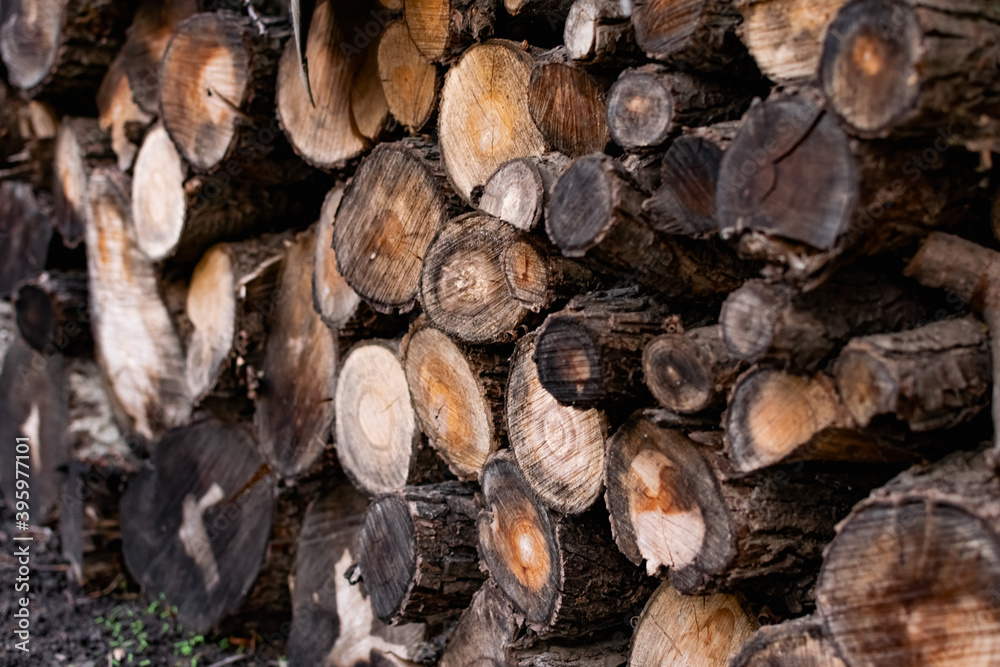 Prepared firewood for the grill and stove. Sawn down thick and thin