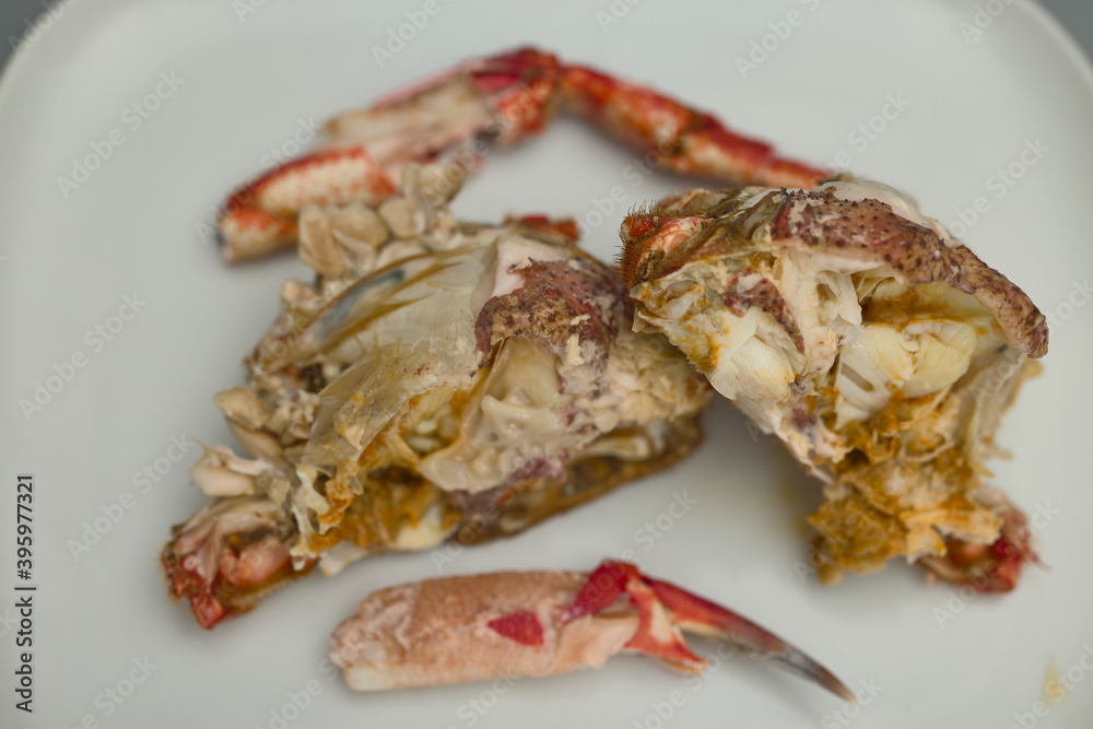 Centollo macho pescado en las rías gallegas Centollo macho pescado en las rías gallegas