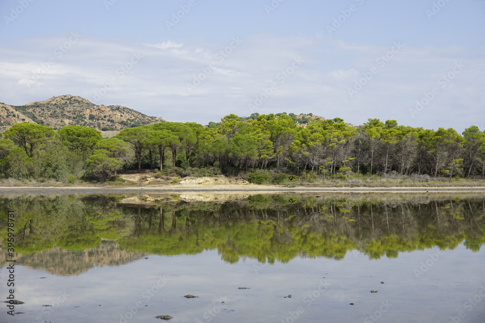 Obraz premium Reflection 3