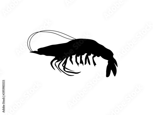 Shrimps, Garnelen, aquarium, shrimp aquarium