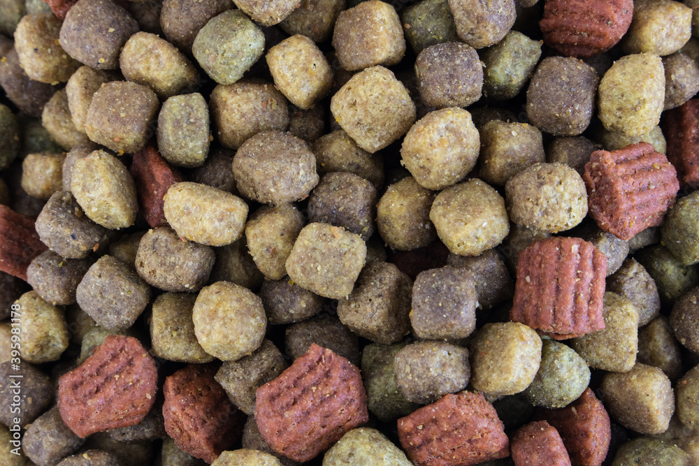 Food for a dog or cat. Dry food for kittens or puppies close-up. Concept - advertising of dry food for pets. Top view. Copy space Food for a dog or cat. Dry food for kittens or puppies close-up. Concept - advertising of dry food for pets. Top view. Copy space