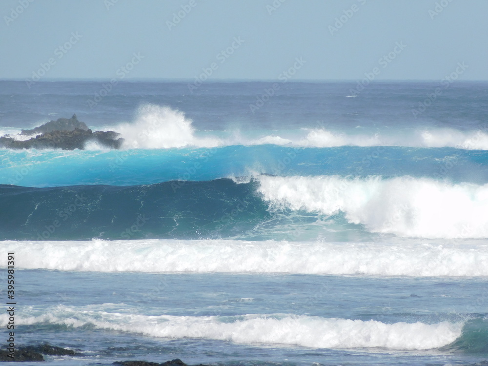 Fototapeta premium A little bit of Canary iselands