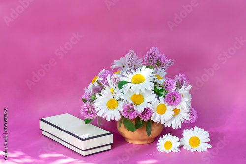 Clover and chamomile bouquet in a vase on a light background . Summer bouquet of garden and field flowers. Still life  on the pink background.