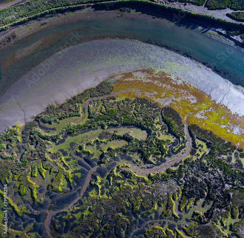 Tidal Marsh, Tidal Wetland (MARISMA), Low Tide, Marismas de Santoña, Victoria y Joyel Natural Park, Cantabria, Spain, Europe photo