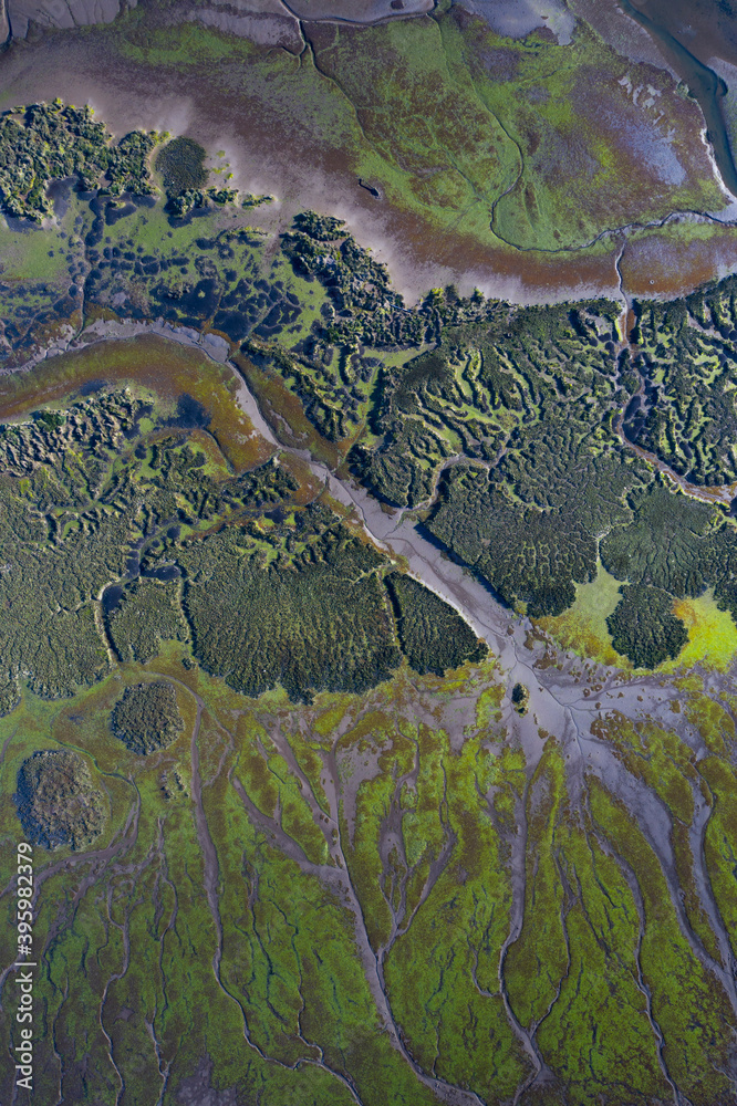 Tidal Marsh, Tidal Wetland (MARISMA), Low Tide, Marismas de Santoña, Victoria y Joyel Natural Park, Cantabria, Spain, Europe Tidal Marsh, Tidal Wetland (MARISMA), Low Tide, Marismas de Santoña, Victoria y Joyel Natural Park, Cantabria, Spain, Europe
