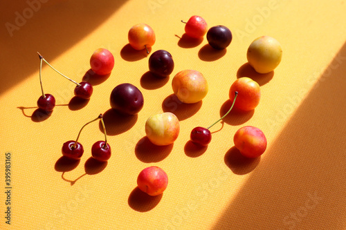 Ripe cherry plums and cherries on a yellow background in the sun and the shadow of objects  side view-the concept of the usefulness of fresh fruit for the human body